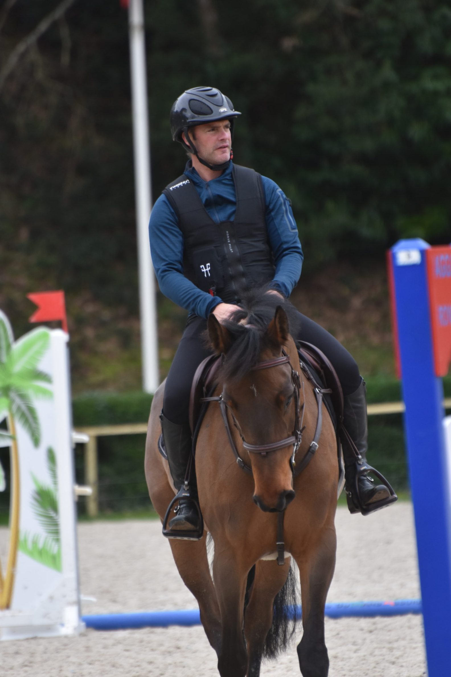 horse pilot jacket