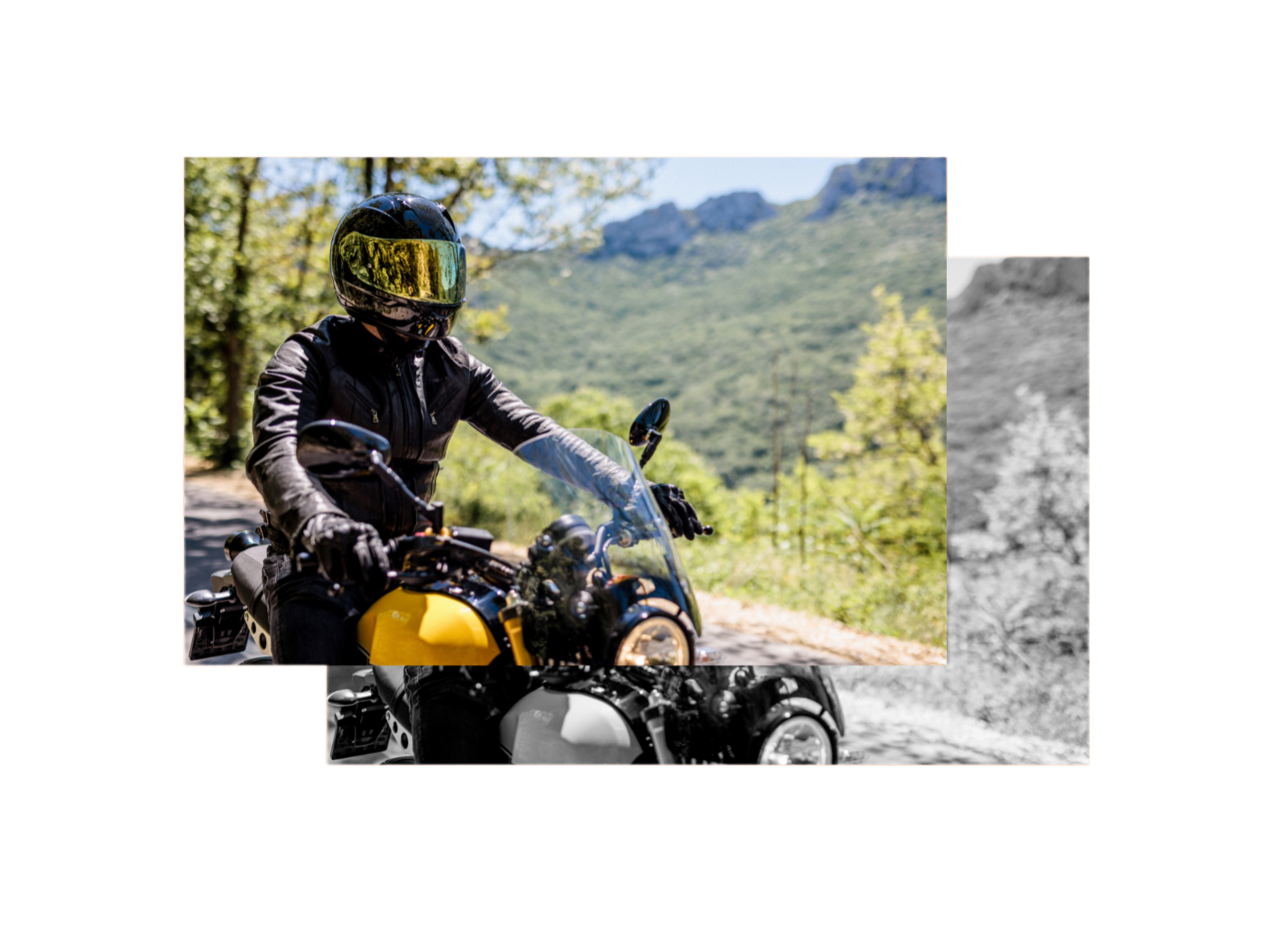 Design sans titre (1)-fotor-bg-remover-2026040310134